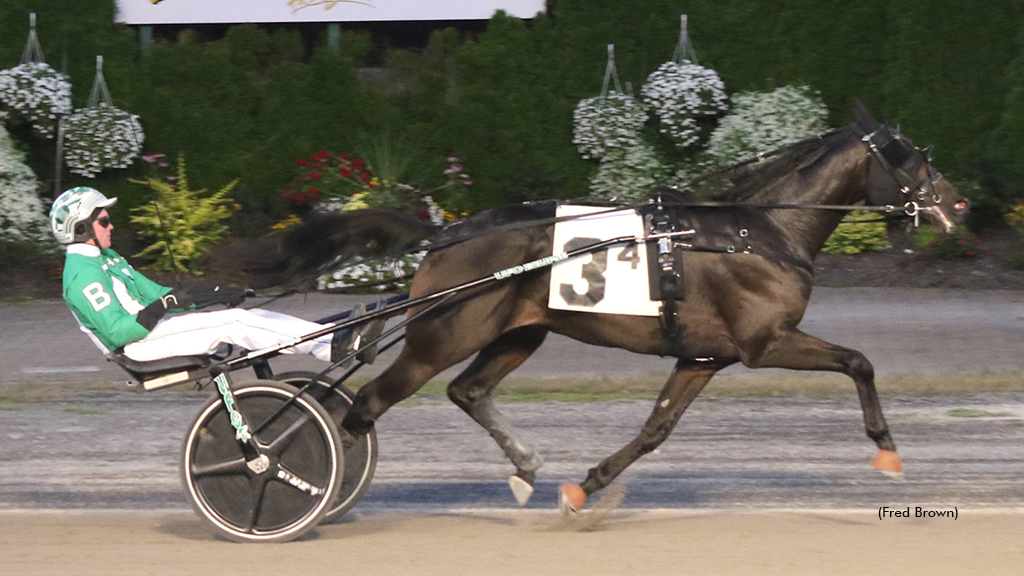 Ocean Storm winning at Tioga Downs