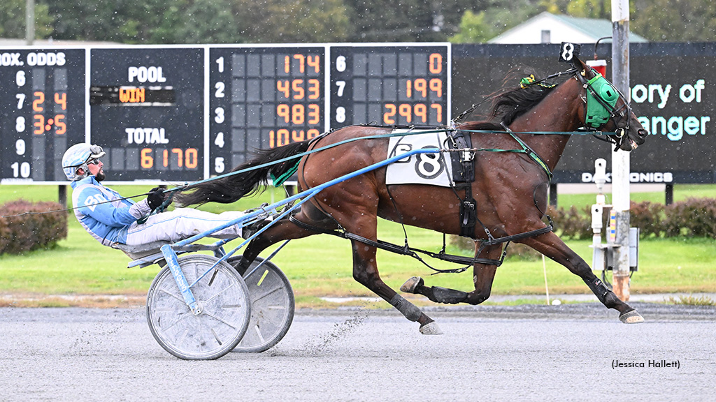 Prairie Rocknroll Steals The Show In Spa Feature
