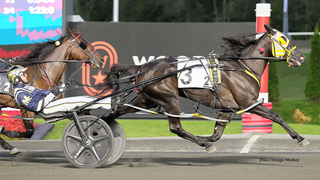 Shes A Bulldog winning at Woodbine Mohawk Park