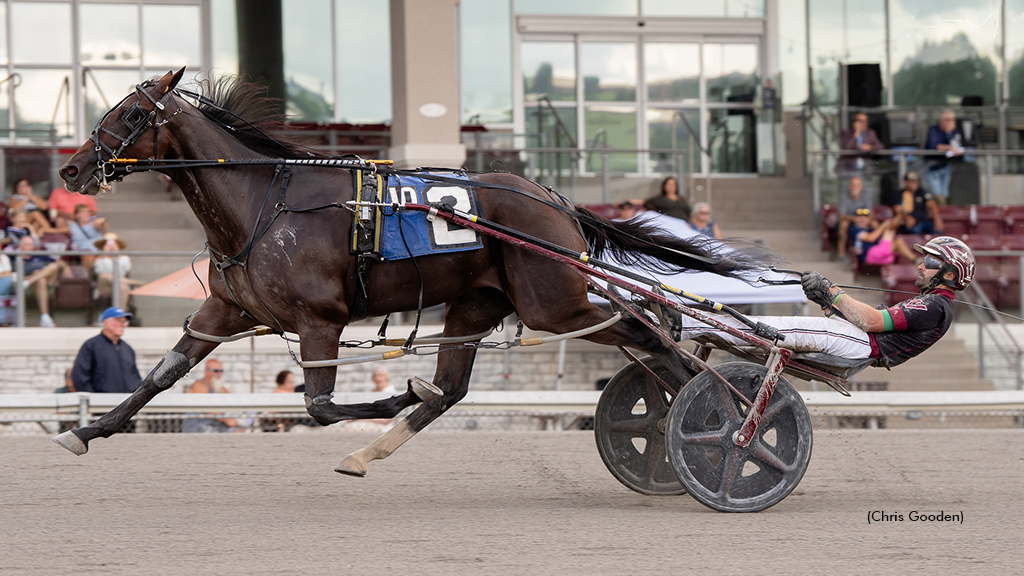 Winnercircleseeker winning at The Meadows