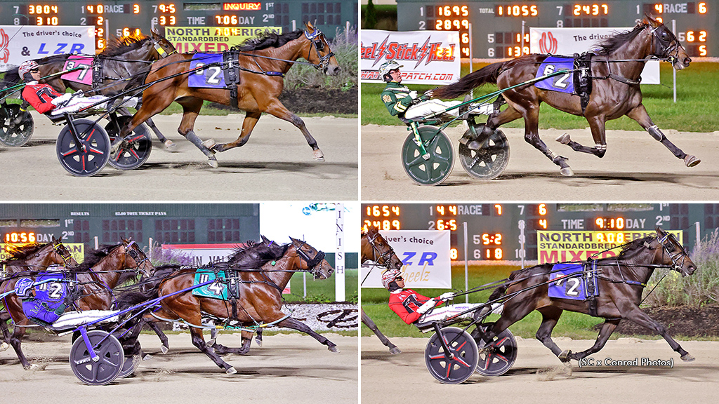 Freshmen Face Off In Breeders Crown Eliminations