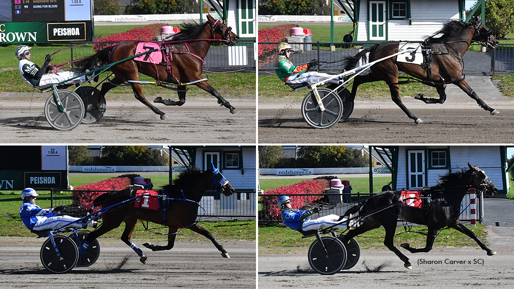 Stars Shine In Atlantic Breeders Crown Championships