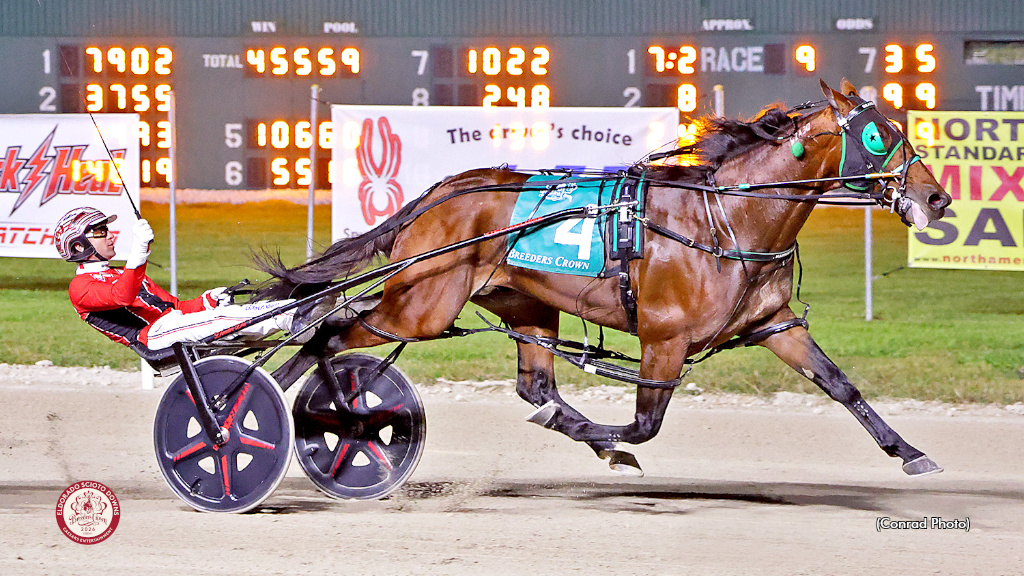 Brandon Blvd Brilliant In Breeders Crown Final