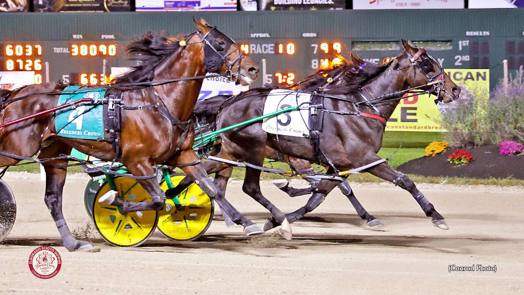 Dandy Ideal Digs Deep In Breeders Crown Open Pace