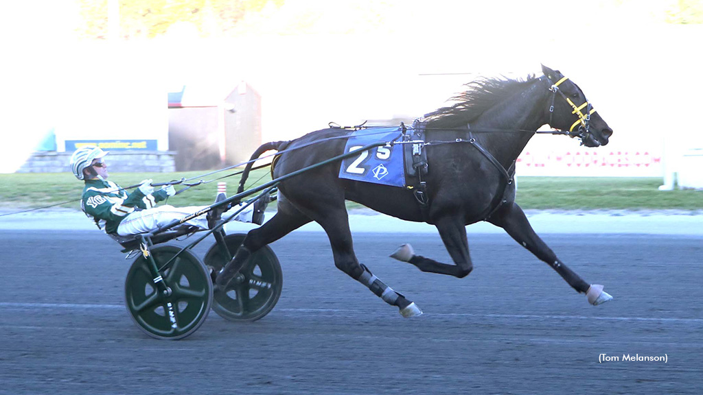 Gingras Dominant, Okusko Gets Milestone In Mass. Finals