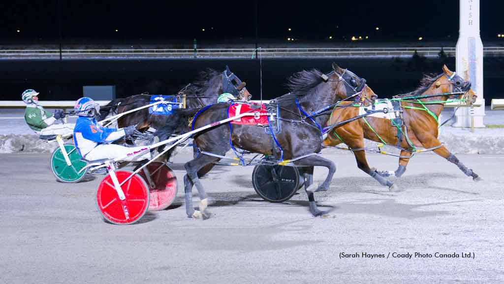 Georgia Hanover Tops Preferred Mares At Century Mile