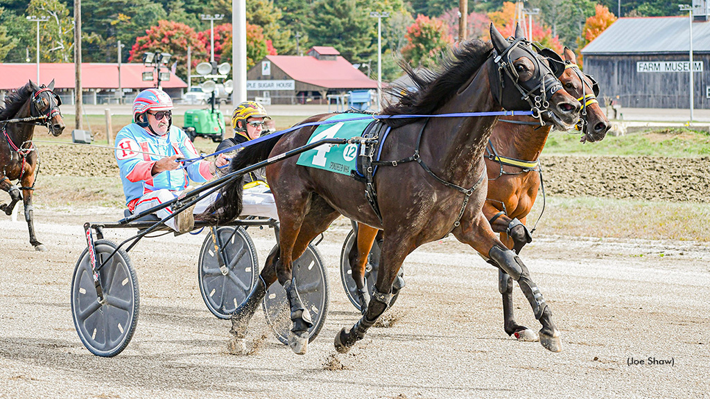 Maine Trotters Roll At Cumberland Fair