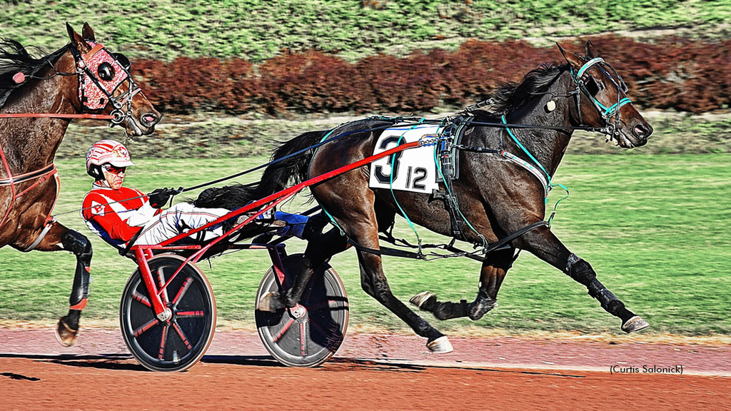 My Philomene Streaks To Simpson Stakes Score
