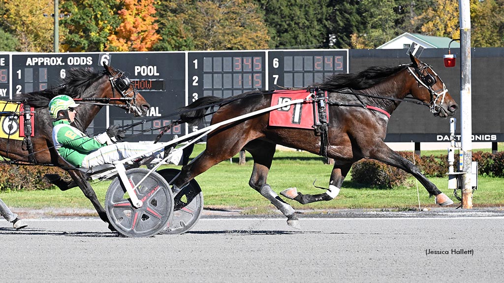 Meadowbrook Ashley winning at Saratoga Raceway