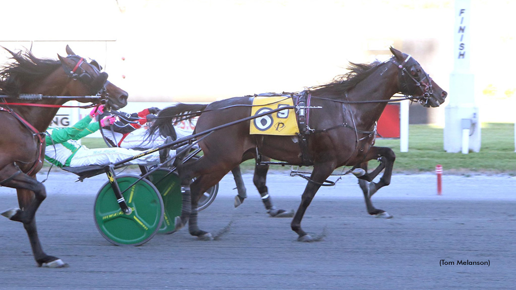 Memorynimagination Trips Out To Another Open Win