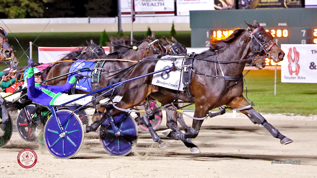 Miss Jum Jabber Delivers Breeders Crown Knockout