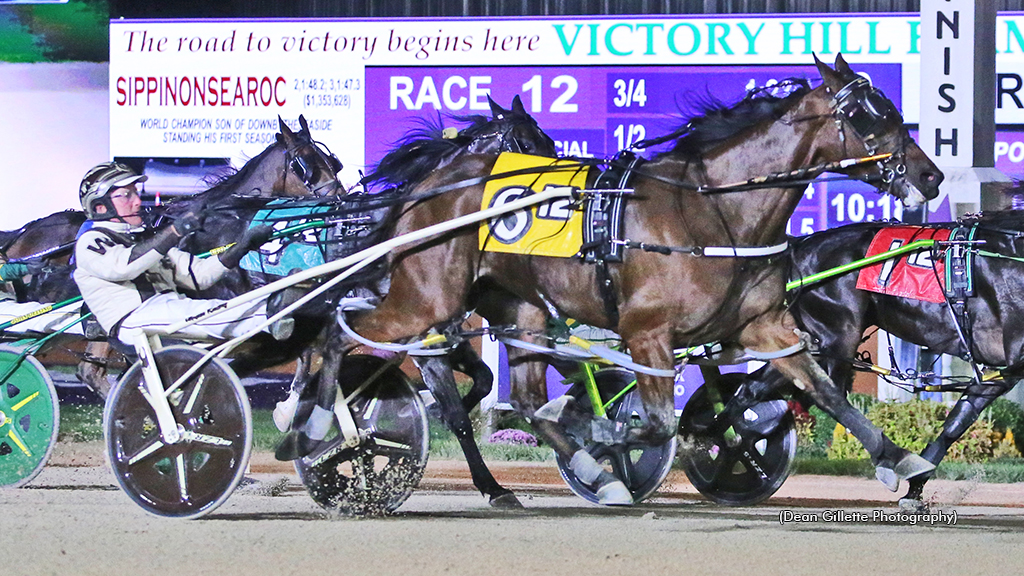 Odds On Mr Mamba, Somemore Blue Star In Indiana Stakes