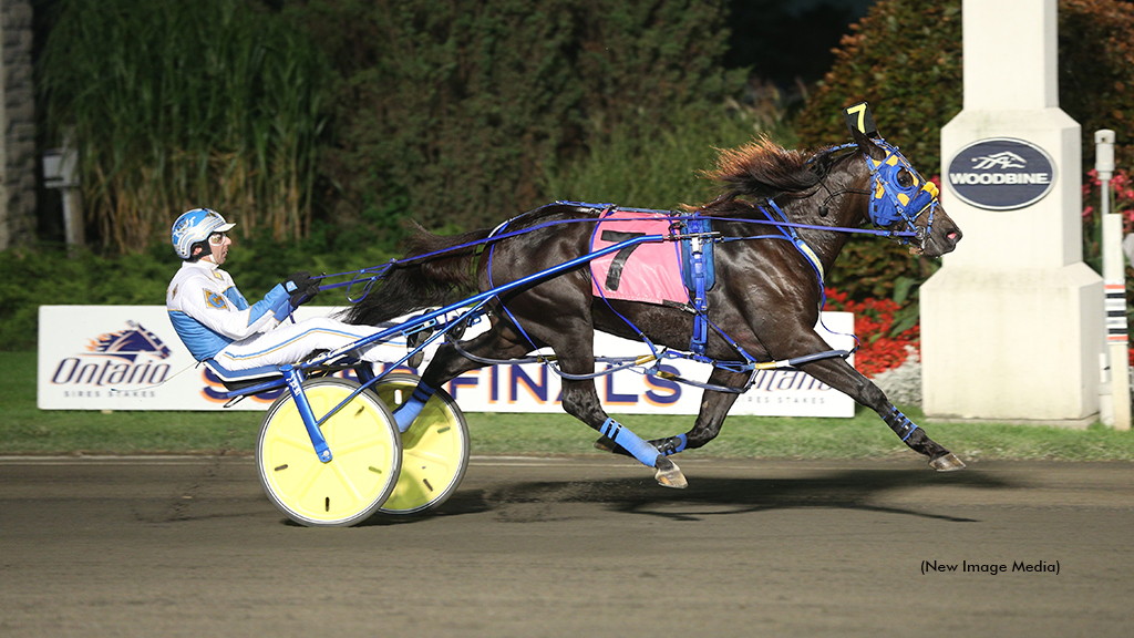 Reverend Hanover winning a 2015 Ontario Sires Stakes Super Final