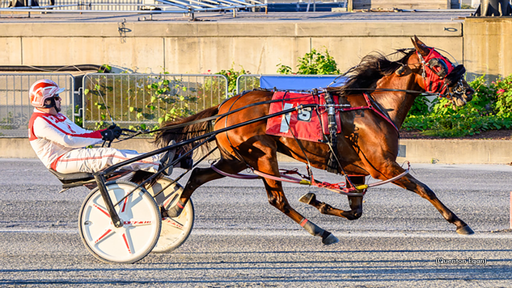Salty Beaches