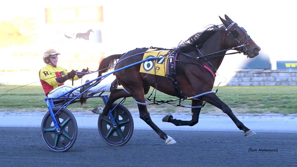 Open Mare Take Your Pick Kicks Off Robinson Triple