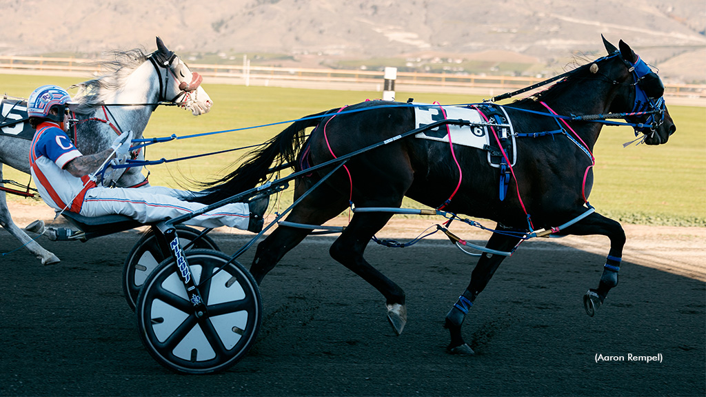 Vintage Lass All Class In Desert Park Open