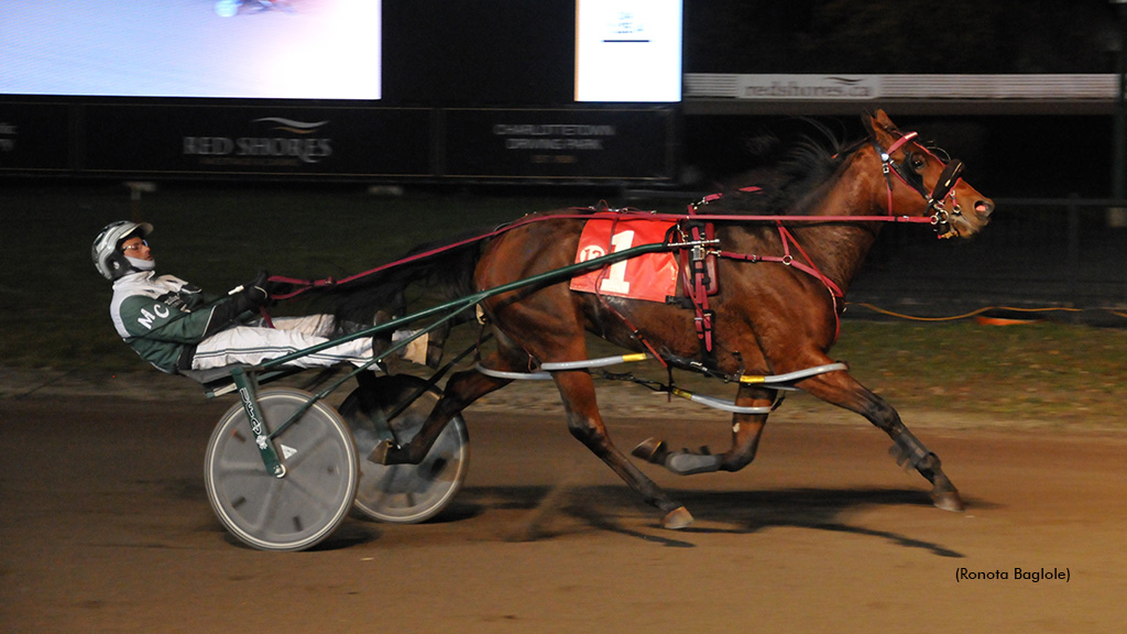 Windemere Skye Beats Older Mares To Go 27 Unbeaten