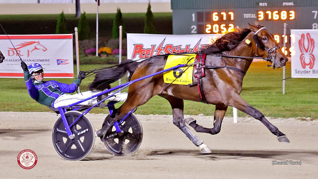 Wrong Sounds Right Sets World Record In Breeders Crown