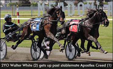 Breakfast With Big M's Babies