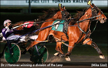 Dr J Hanover Hat Tricks In Levy