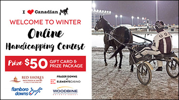 Welcome To Winter Contest Open!