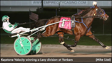 Keystone Velocity Rebounds In Levy