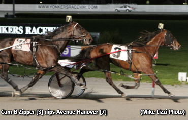 Sagamore Hill Final To Cam B Zipper 