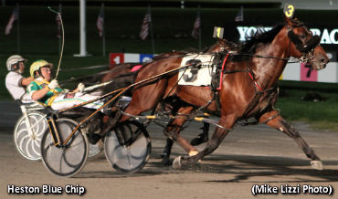 'Heston' Quickest Of NYSS Winners