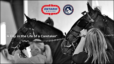 A Day In The Life Of A Caretaker