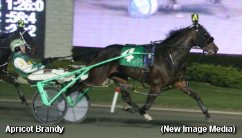 Fillies Flock To Flamboro For Trillium