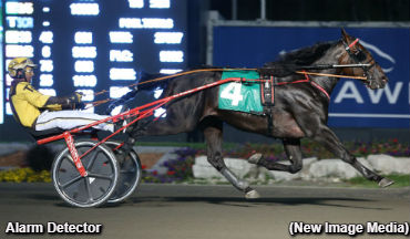 Record-Setting Rookies Impress 