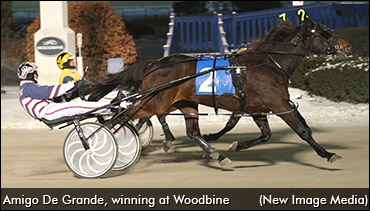 WEG Preferred To Amigo De Grande