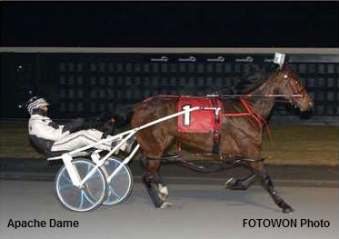 Apache Dame Stays Strong In Dover Open