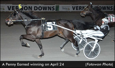 A Penny Earned Triumphs In Open Trot