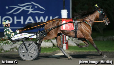 Gingras & Takter Sweep Peaceful Way 