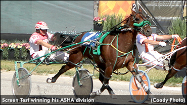 Screen Test Best In ASHA Colt Stakes