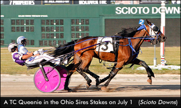 Ohio Stakes Filly A Dream Come True