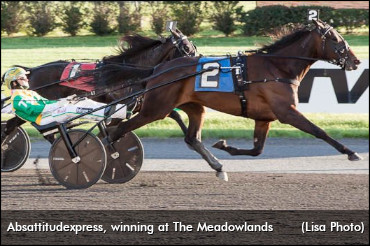 Daley Debut For Absattitudexpress