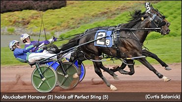 'Abuckabett' Photos Perfect Sting In PASS