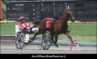 Pair Of Juveniles Lower NJSS Record