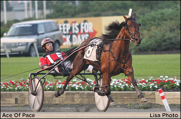Ace Of Pace Looks To Deal Another Win