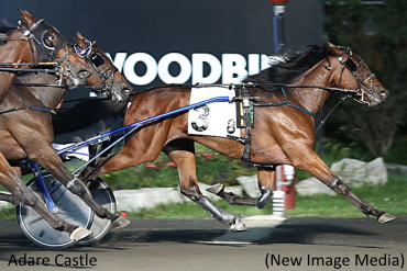 Fields Set For Wellwood, Peaceful Way