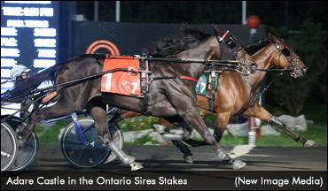 Adare Castle & McNairs Perfect In OSS