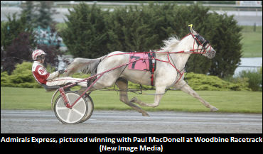 Updated: Admirals Express Euthanized