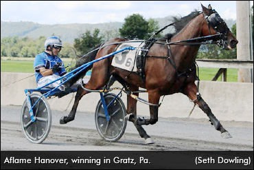 From The Fairs To The Big Stage