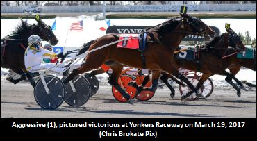 Open To Ontario-Sired Aggressive