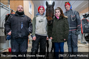 Ahi: The Little Horse That Could