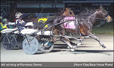 Fire Survivor Returns To Winner’s Circle