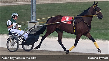 Nothing But Blue Skies For Reynolds