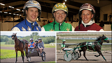 Harness Helps Alberta